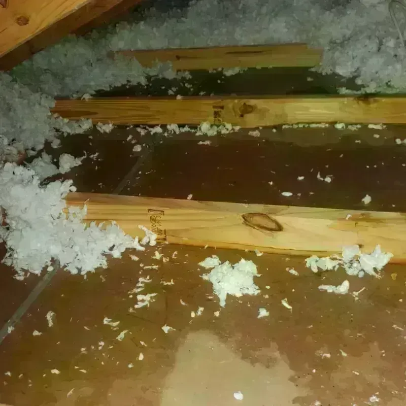 Attic Water Damage in Caldwell County, NC